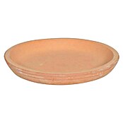 Podložak za teglu za cvijeće  (Terakota, Maks. vanjski promjer: 25 cm) | BAUHAUS