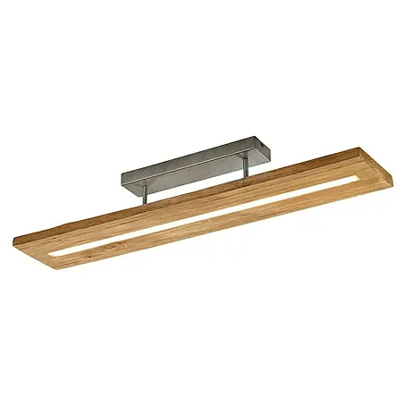 Trio Lighting  Plafón LED Brad