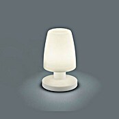 Reality Leuchten Stolna LED svjetiljka Dora (1,5 W, Bijelo, Visina: 21 cm)