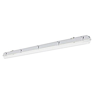 Voltolux Regleta estanca LED (L x An x Al: 127,2 x 6,6 x 7,3 cm, Color de luz: Blanco neutro, 18 W, IP65)