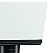 Steinel LED reflektor XLED Home 2 XL  (20 W, Do x Š x V: 161 x 180 x 214 mm) | 3087 - Outddor Wandstrahler | CAJA - Outdoorleuchten Hochvolt | CAJ - Outdoorleuchten | CA - Beleuchtung | C - Elektro | BAUHAUS