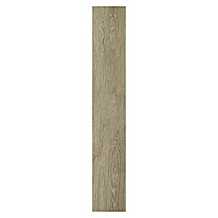 Dakota Suelo de vinilo Kansas (1.520 mm x 245 cm x 4,2 mm, Efecto madera)