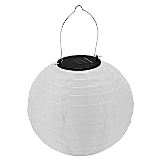 BAUHAUS Solarna svjetiljka Lampion (Bijele boje, Trajanje osvjetljenja: 8 h)