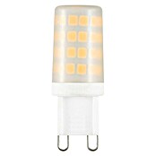 Voltolux LED svjetiljka (3,5 W, Boja svjetla: Bijelo, Bez prigušivanja, Oblik kapsule)