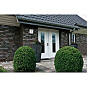 Paulmann Solarna svjetiljka s kućnim brojem  (0,2 W, IP44, Plastika, Vijek trajanja: 8 h) | BAUHAUS