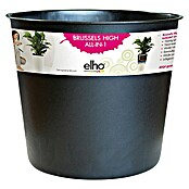 Elho Brussels Diamond Uložak za teglu Easy Insert  (Vanjska dimenzija (ø x V): 32 x 28 cm, Elho Brussels Diamond posudu za biljke Round High) | BAUHAUS