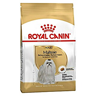 Royal Canin Suha hrana za pse BHN Maltese (Analitički sastavni dijelovi: Sirove bjelančevine 24%, sirova ulja i masti 18%, sirova vlaknina 1.5 %)