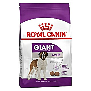 Royal Canin Suha hrana za pse SHN Giant Adult 15 kg (Analitički sastavni dijelovi: Sirove bjelančevine 28%, sirova ulja i masti 20%, sirova vlaknina 1.8%)