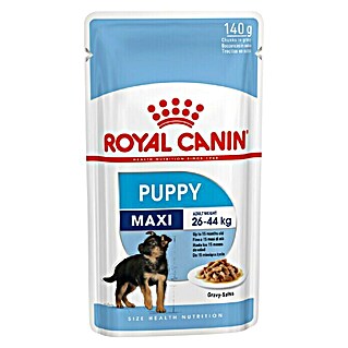 Royal Canin Mokra hrana za pse SHN Maxi Puppy (Životna faza: Štene, Analitički sastavni dijelovi: Sirove bjelančevine 8.3%, sirova ulja i masti 5%, sirova vlaknina 1.4%)