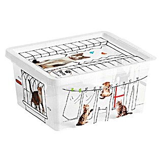 Keter Kutija za pohranjivanje Pets Collection (D x Š x V: 16,5 x 19,5 x 9,5 mm, Plastika)