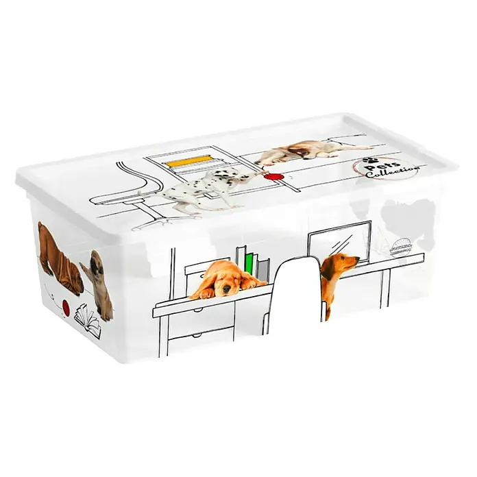 Keter Aufbewahrungsbox Pets Collection - L x B x H: 19 x 33,5 x 12 mm, Kunststoff - Eine weiße Aufbewahrungsbox mit Tiermotiven, ideal zur Organisation von Spielzeug oder Kleidung. Praktisch und dekorativ.