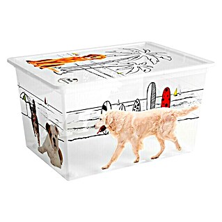 Keter Kutija za pohranjivanje Pets Collection (D x Š x V: 38,5 x 55 x 30 mm, Plastika)