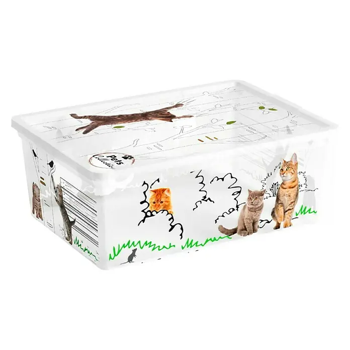 Keter Aufbewahrungsbox Pets Collection - L x B x H: 26 x 37,5 x 14 mm, Kunststoff - Aufbewahrungsbox mit Katzenmotiven für Tierliebhaber zur stilvollen und organisierten Aufbewahrung von Tierbedarf.