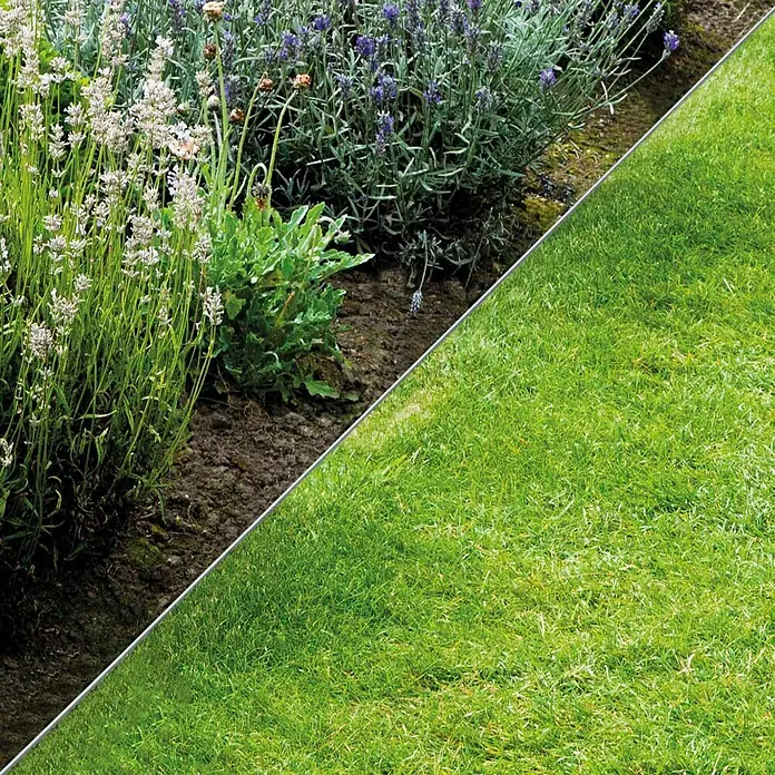 Bellissa Rasenkante Basic - 100 x 0,05 x 10 cm, Silber, Metall - Nahaufnahme eines Gartens mit Lavendelblüten und saftigem, grünen Rasen, geteilt durch eine klare Linie.