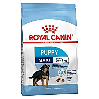 Royal Canin Suha hrana za pse SHN Maxi Puppy (Analitički sastavni dijelovi: Sirove bjelančevine 30%, sirova ulja i masti 16%, sirova vlaknina 2.6%, NFE 34.2%)