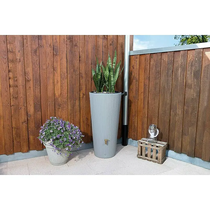 4rain Regenspeicher Vaso Decor 2in1 - 220 l, Zinkgrau - Nahaufnahme einer grauen Regentonnen-Säule mit einer Sansevieria-Pflanze darauf, neben einem Fallrohr und einem Blumenkasten.