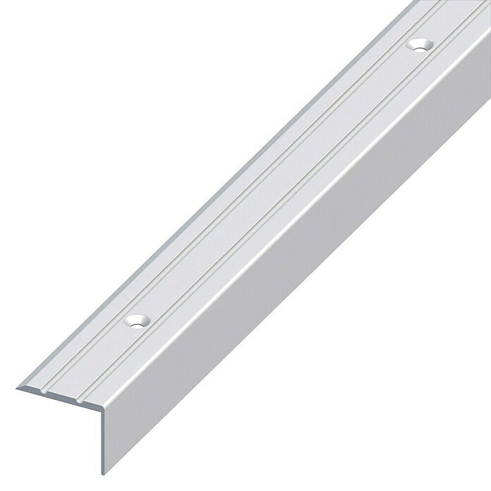 TREPPEN25X20SILBEREL. GS2,50m