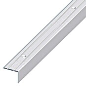 TREPPEN25X20SILBEREL. GS2,50m
