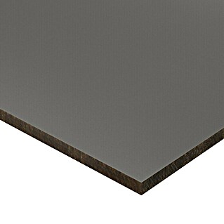 Bauallzweckplatte Fixmaß (Anthrazit, 280 x 125 x 0,6 cm)
