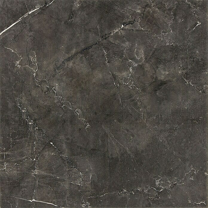 Feinsteinzeugfliese Premium Marble (60 x 60 cm, Anthrazit, Poliert)