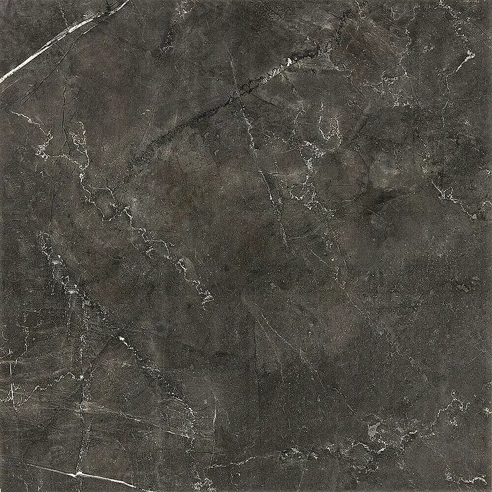 Feinsteinzeugfliese Premium Marble - 60 x 60 cm, Anthrazit, Glänzend - Elegante graue Marmorfliese mit filigranen weißen Adern. Ideal für stilvolle Wand- und Bodengestaltungen mit edlem Flair.