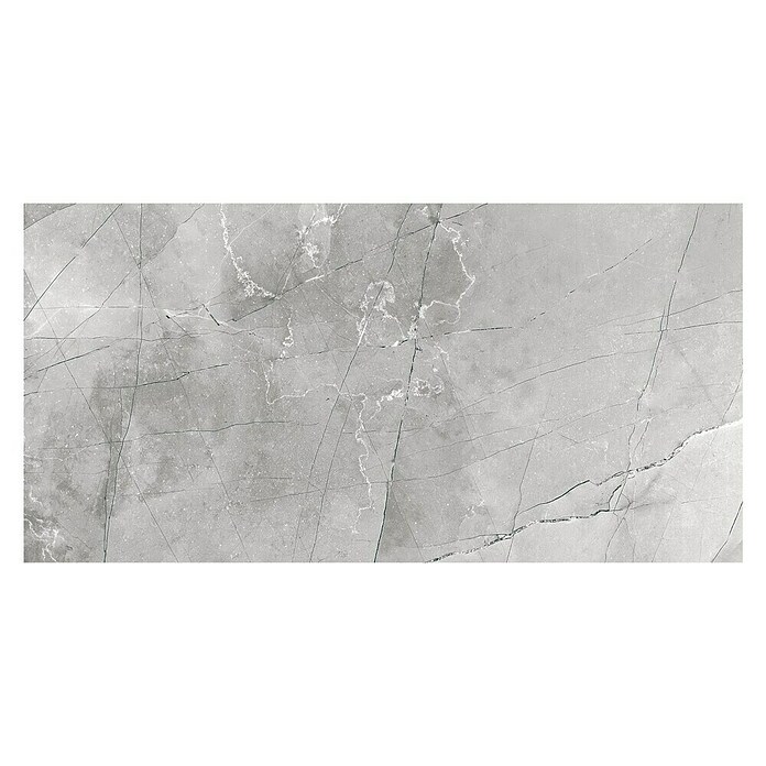Feinsteinzeugfliese (60 x 120 cm, Grau, Poliert)
