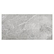 Feinsteinzeugfliese (60 x 120 cm, Grau, Poliert)