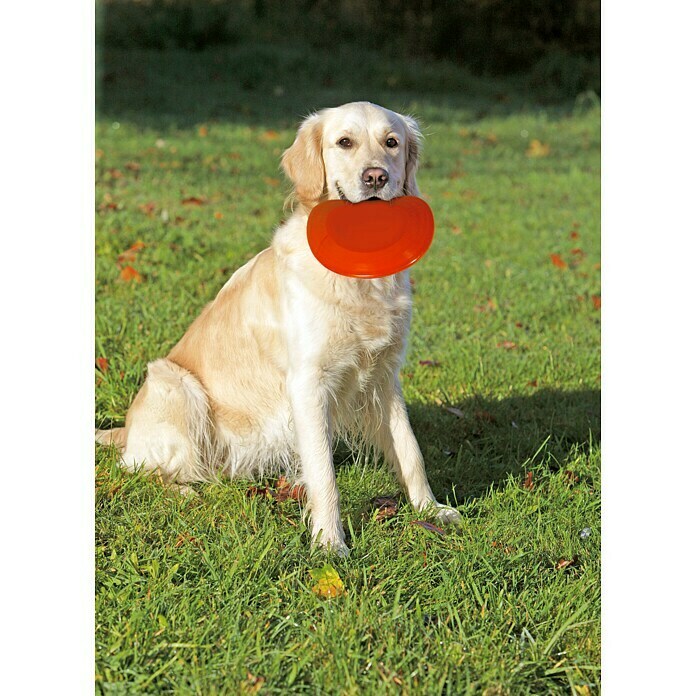 Karlie Hundespielzeug FrisbeeDurchmesser: 23 cm, Kunststoff Mood Shot