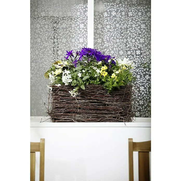 Piardino Kapkörbchen - Osteospermum ecklonis, Topfgröße: 14 cm, Sortenabhängig - Dekorative Blumenbox mit violetten, gelben und weißen Blüten, ideal als Tischdekoration oder Fensterbankverschönerung. Das natürliche Flechtmuster verleiht einen rustikalen Charme.