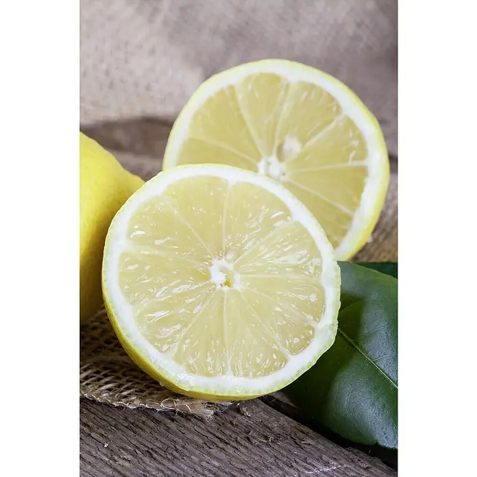 Piardino Limonero - Citrus limon, Tamaño de maceta: 18 cm - Primer plano de mitades de limón sobre una mesa rústica de madera, enfatizando la frescura y jugosidad de los cítricos.
