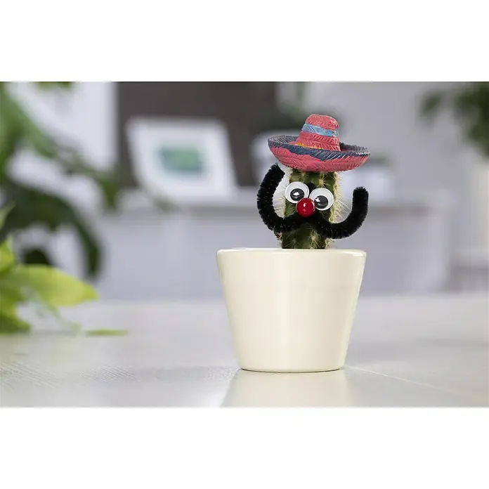 Piardino Kaktus mit Mexikanerhut
