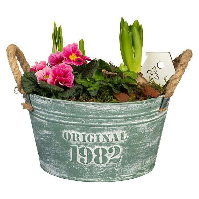 Pflanzenarrangement
