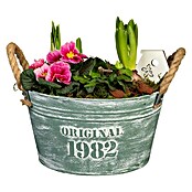Pflanzenarrangement