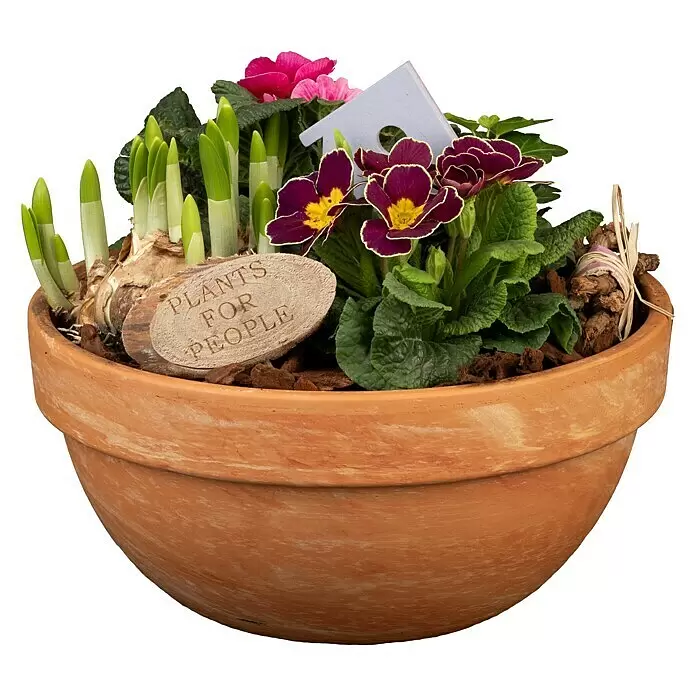 Piardino Garten-Arrangement Nr. 2 -  - Vorderansicht