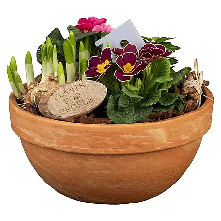Piardino  Garten-Arrangement Nr. 2