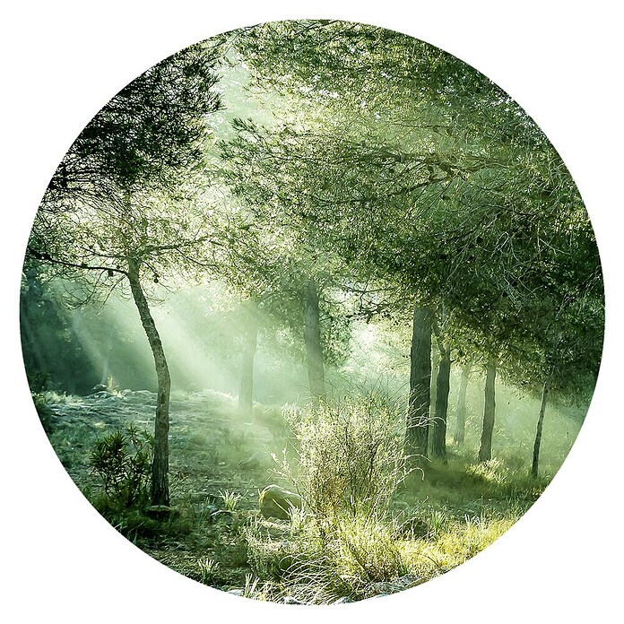 ProArt Bild (Forest Harmony VI, Durchmesser: 100 cm) | BAUHAUS