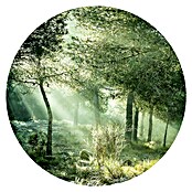 ProArt Bild (Forest Harmony VI, Durchmesser: 100 cm) | BAUHAUS