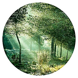 ProArt Bild (Forest Harmony VI, Durchmesser: 100 cm)