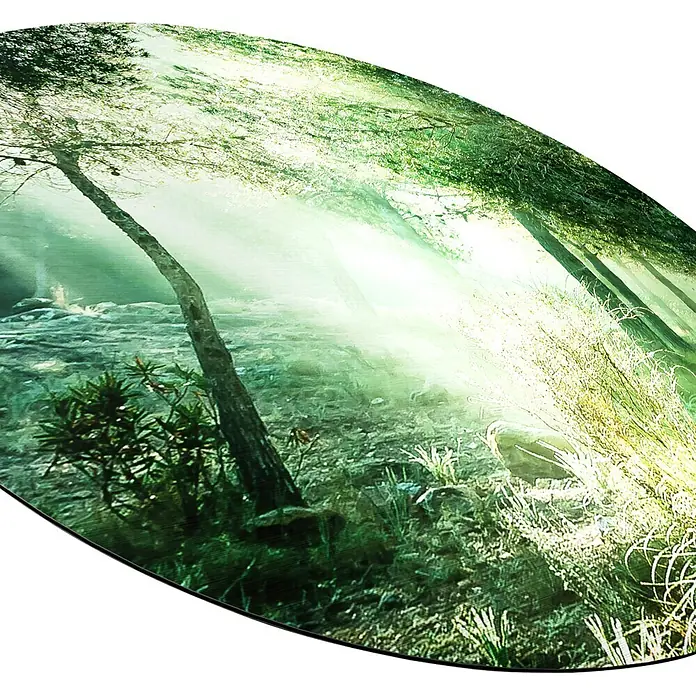 ProArt Bild - Forest Harmony VI, Durchmesser: 100 cm - Das Naturkunstwerk wird in einem dekorativen ovalen Rahmen präsentiert und fängt die Schönheit des Waldes mit intensivem Grün und malerischen Lichtstrahlen ein.