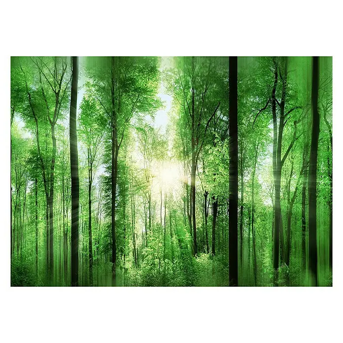 Pro Art Bilder Alu 200 X 100