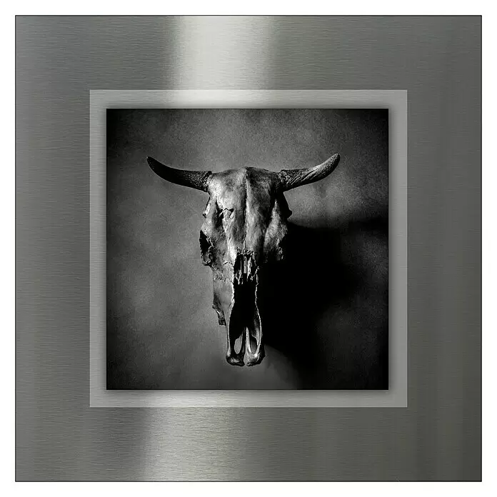 ProArt Bild - Dead Head, B x H: 50 x 50 cm - Vorderansicht