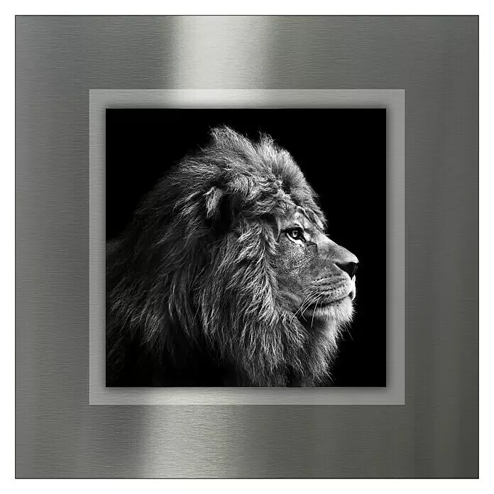 ProArt Bild - Grey Lion Head, B x H: 50 x 50 cm - Vorderansicht