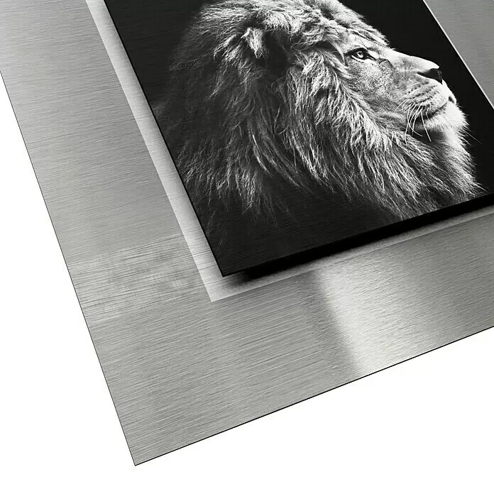 ProArt Bild - Grey Lion Head, B x H: 50 x 50 cm - Detailaufnahme