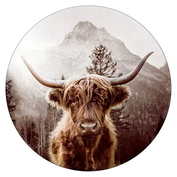 ProArt Bild - Scot Highland Cattle, Durchmesser: 100 cm - Vorderansicht