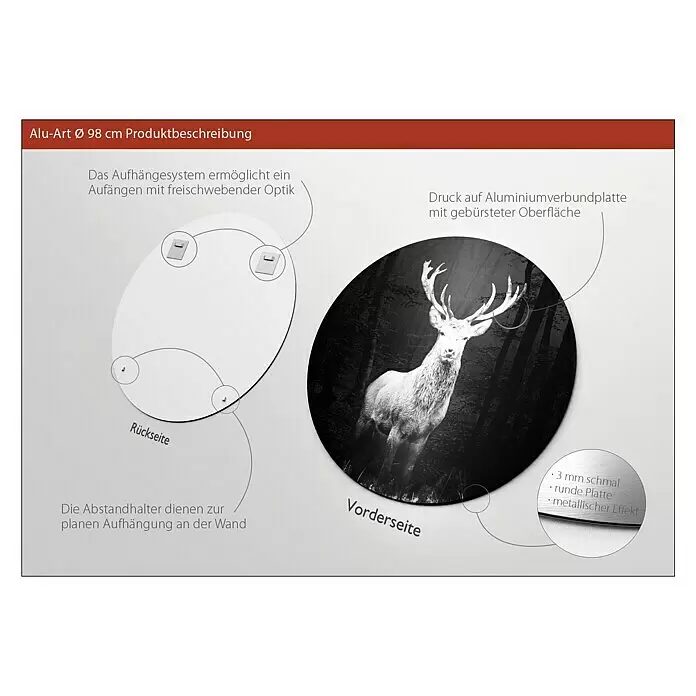 ProArt Bild - Grey Deer Head, Durchmesser: 100 cm - Informationsansicht