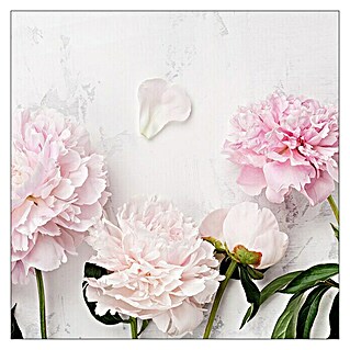 ProArt Leinwandbild (Peonies II, B x H: 30 x 30 cm)