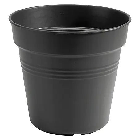 Elho Green Basics Maceta para planta