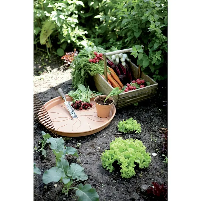 Elho Green Basics Plato redondo para maceta - Dimensiones externas (Ø x Al): 10 x 1 cm, Plástico, Negro - Cosecha de hortalizas en un jardín rústico. Se presenta un surtido de verduras frescas que incluyen rábanos, zanahorias y lechuga en una cesta de madera.