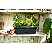 Elho Green Basics Posuda za biljke Trough mini (Crna, 30 x 12 x 11 cm)