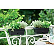Elho Green Basics Posuda za biljke Trough mini (Crna, 30 x 12 x 11 cm)